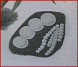 Armyworm eggs