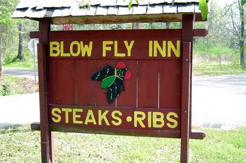 Image of Sign that Says 'Blow Fly Inn Steaks and Ribs'