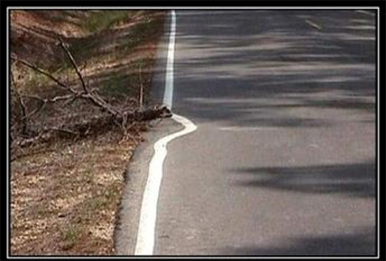 Photo of a crooked line on the road